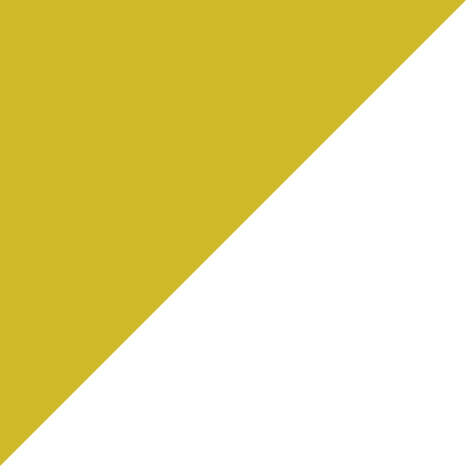 1 Gp amarillo izq