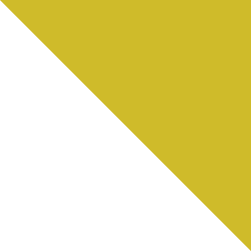 1 Gp amarillo